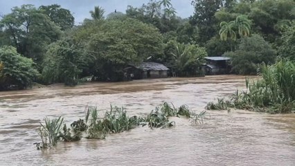 Inundaciones en Tonosí: Al menos 140 viviendas afectadas, según informe preliminar de Sinaproc