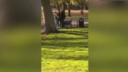Moment mistakenly freed migrant sex offender arrested by police in north London park