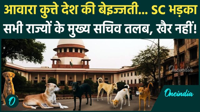 Supreme Court on Street Dogs: आवारा कुत्तों पर सुप्रीम आदेश! लापरवाही करने वाले राज्यों की खैर नहीं