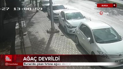 Bursa'da çıkan fırtına ağacı devirdi