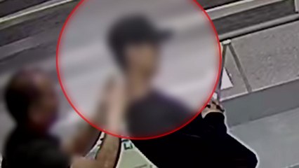 금목걸이 270만 원어치 훔친 혐의 20대 체포 / YTN