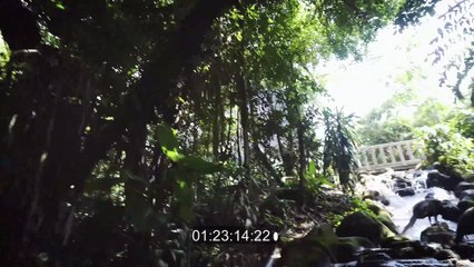 L’ART TRADITIONNEL DU SILAT  (version Français)