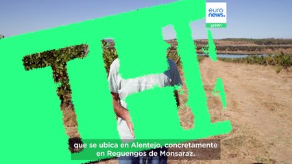 Agricultura eficiente en el uso del agua: 5 consejos para ahorrar una gota y cómo puede ayudar la UE