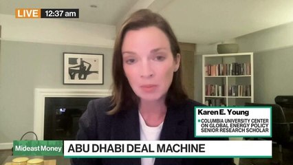 Young: UAE's Sovereign Wealth Different to Neighbors