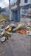 CBTU denuncia descarte irregular de lixo na linha do trem de Maceió: “segurança comprometida”