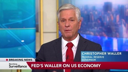 Fed's Waller Calls for Careful Rate Cuts in Support of Labor Market