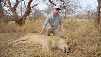 I Saved 1,000 Animals From Dying