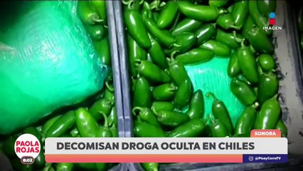 Reportan víctimas por balaceras en Chihuahua | DPC con Paola Rojas