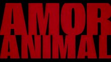 Amor Animal - Tráiler Oficial | Prime Video
