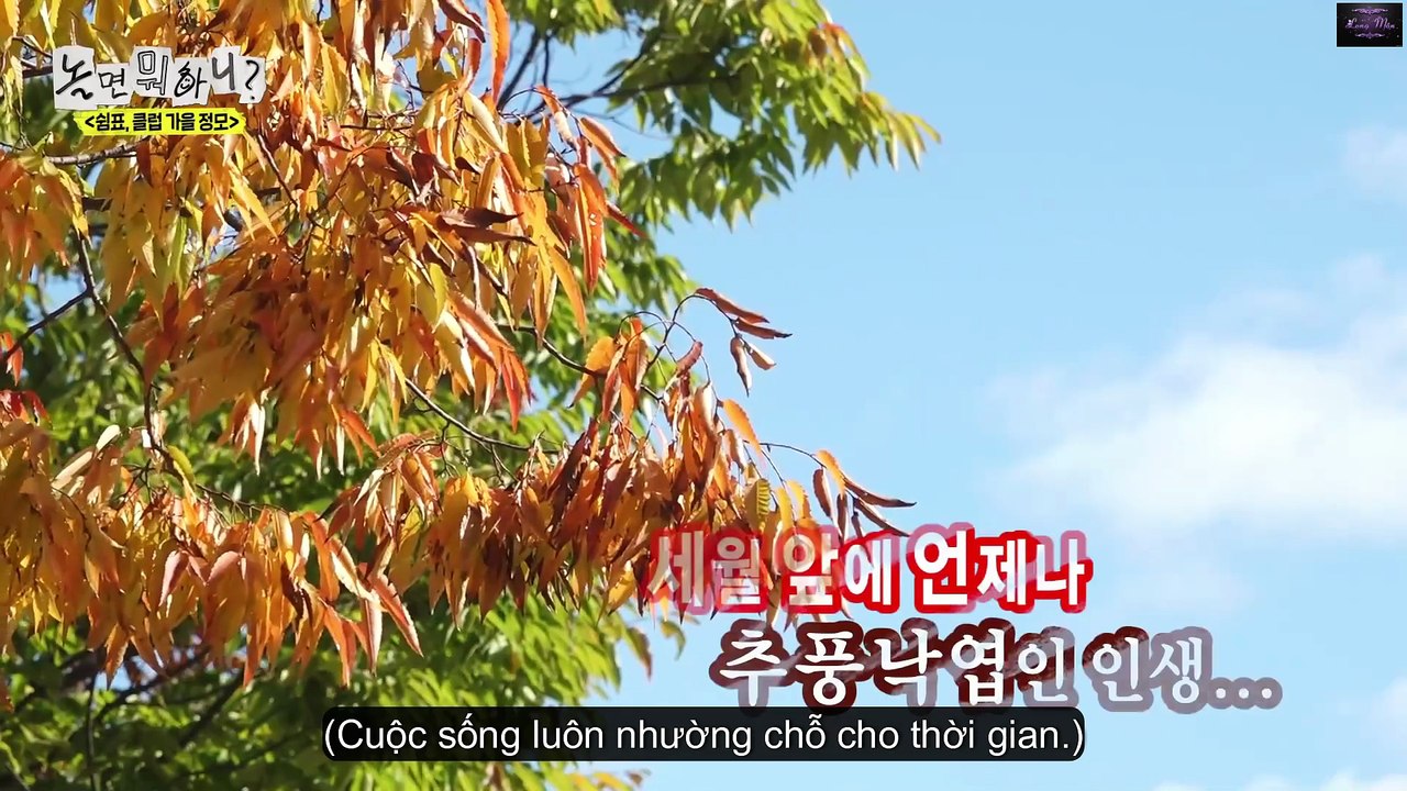 Hangout with Yoo (How Do You Play) Episode 304