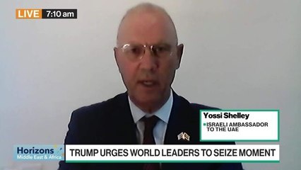 Shelley on Peace Deal: Arrived at an Irreversible Moment