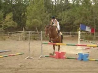 Ma lulu et Minnie a la fête du ch'val (2)