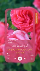 Surah الفيل - Al-fil Ali Jaber