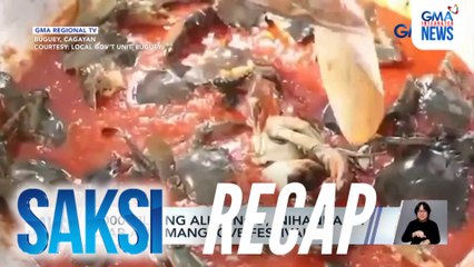 Saksi: (Part 3) Crab and Mangrove Festival; Korean oppas at Filipino celebrities, nagtagisan sa hard court; Puksaan nina Vice Ganda at Mr. Assimo Michael V