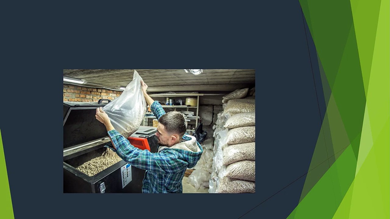 Innovative Grain Storage and Handling Solutions Across India