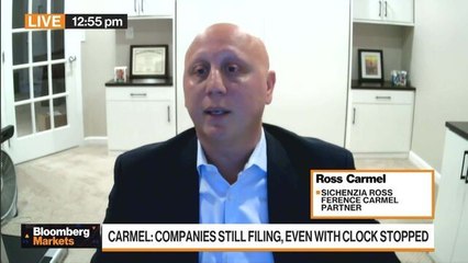 Shutdown Affecting Digital Asset Treasuries Most: Carmel