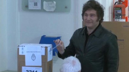 Argentina: así avanza la jornada electoral para renovar legisladores del Congreso Nacional