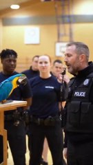The Whistle Drill #funny #youtubeshorts #viral #facts #aiemotionalstory  🏷️ #PoliceParrot #ParrotComedy #BritishComedy #UKHumor #FunnyShorts #ViralReels #OfficerLaughs #BirdTok #AIShorts #PoliceTraining #CinematicShort #TalkingParrot #CopHumor