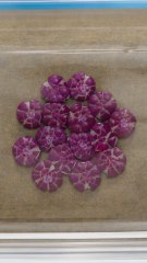 Crushing Skittles to make Skittles cake! 🟣🟡 #foodhacks #parentinghacks #shorts