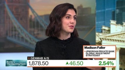 Economy, Markets Resilient to  Shutdown Risks, JPMorgan Says