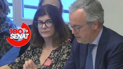 100% Sénat - Budget de la sécurité sociale : le président de l'assurance maladie auditionné