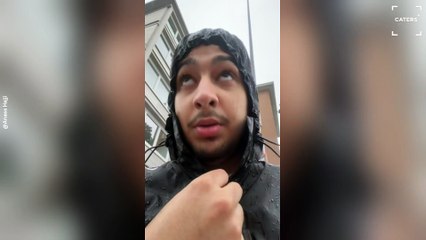 Rescuing a Stray Bird in the Rain