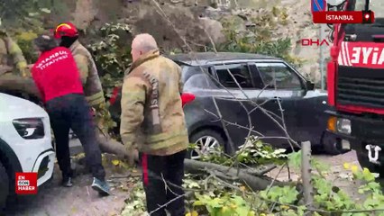 Beşiktaş ve Şişli’de ağaçla elektrik direği araçların üstüne devrildi