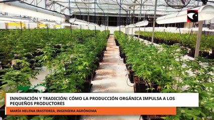 Innovación y tradición cómo la producción orgánica impulsa a los pequeños productores