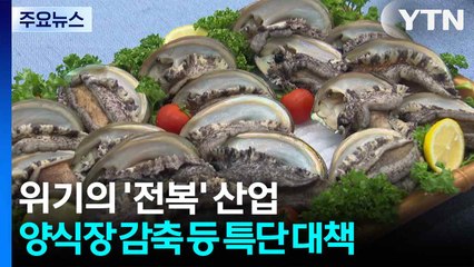 위기의 '전복' 산업...양식장 감축 등 특단 대책 / YTN