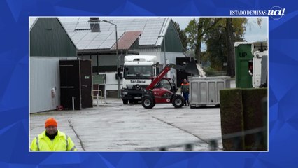 Alemanha registra gripe aviária e ordena abate de milhares de aves