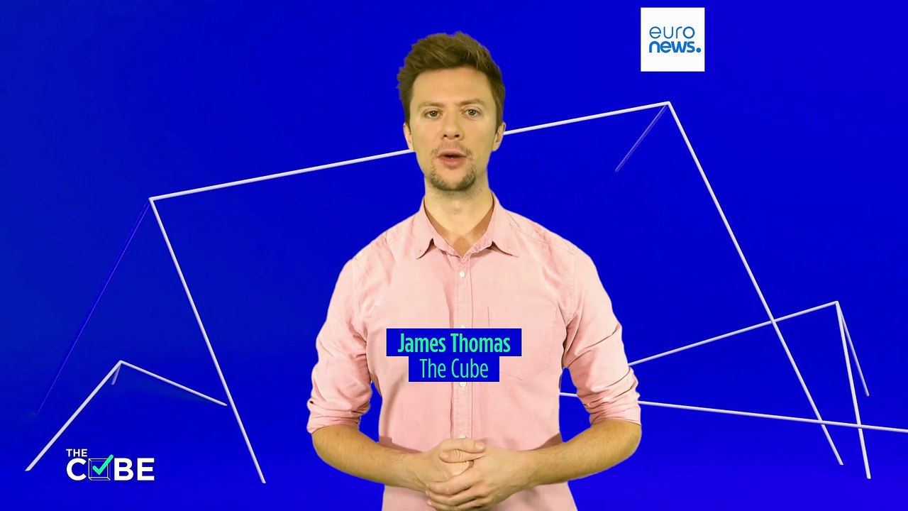 Migration und Wahlkampf: Wie viel bezahlen die Niederlande für Einwanderer?