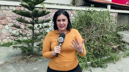 Assalto a Agente de Saúde Bucal Causa Alerta para Segurança em Jardim Atlântica, Olinda