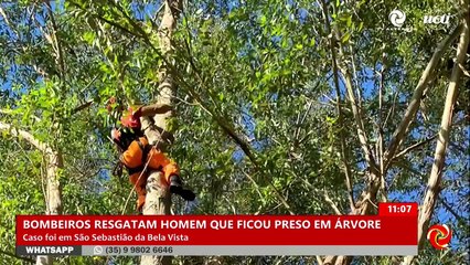 Bombeiros resgatam piloto de paraglider preso em árvore