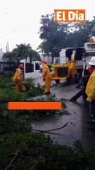 Sistema eléctrico dominicano resiste el paso de Melissa con un 98 % de estabilidad nacional