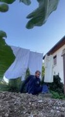 Clothesline Breaks as Man Hangs On, Sending Him Crashing Down