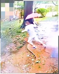 Embarrassing, funny and scary situations in a collection