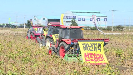 김제 농민들, 논콩 피해에 '갈아엎기' 투쟁 / YTN