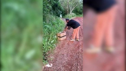 Resgate Incrível em Cascavel: Uma Operação Fora do Comum 🚒