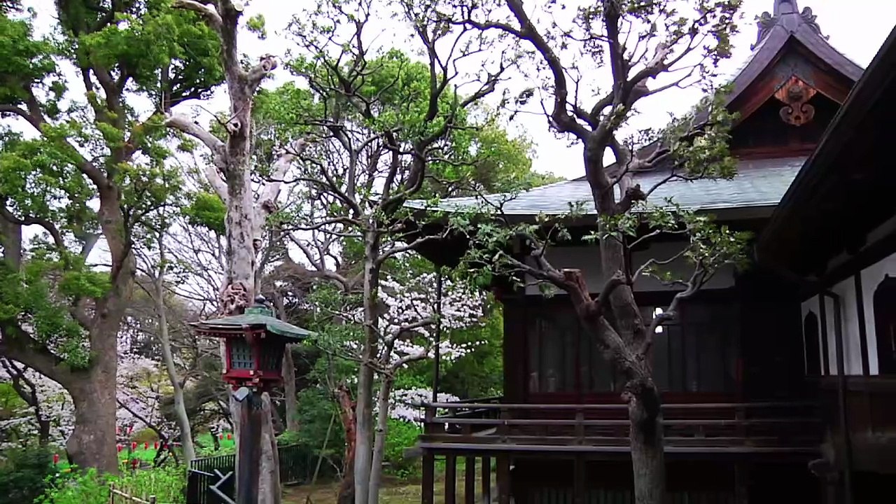 Irezumi: The Japanese Art of Tattooing   ( English version )