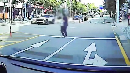 경찰, 96억 사기 수배자 검거...무단횡단하다 적발 / YTN