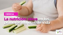 La nutrición: clave en los primeros mil días de vida