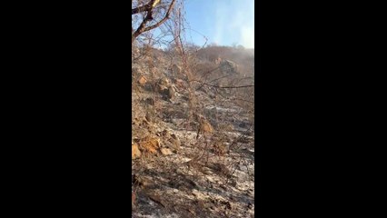 Bombeiros combatem incêndio florestal na Serra do Teixeira e retomam monitoramento nesta terça-feira