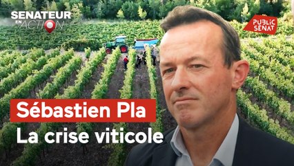 Sénateur en action - Sébastien Pla, la crise viticole