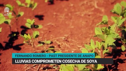 Programa Rural Noticias, Lunes 27 de octubre del 2025