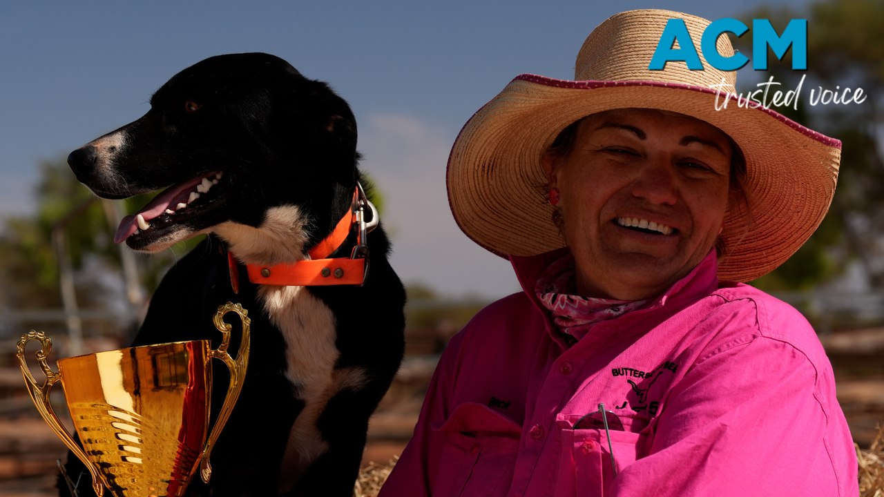 'Nothing like McLeod’s Daughters': Farmer of Australia’s hardest working dog tells all