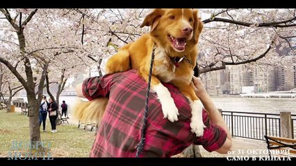 Добро момче | movie | 2025 | Official Trailer