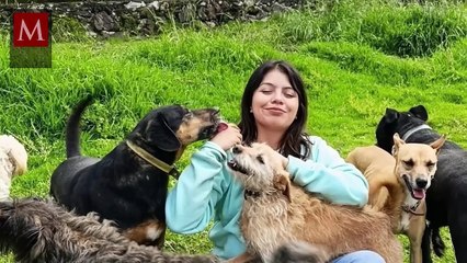 Luisito Comunica pide apoyo para la fundadora de Seres Libres, quien fue amenazada de muerte