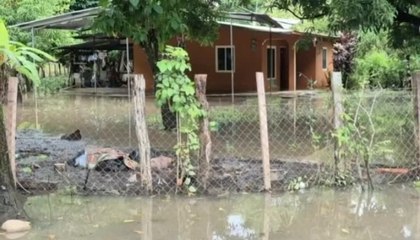 Lluvias no cesan en Azuero, son más de 150 viviendas afectadas