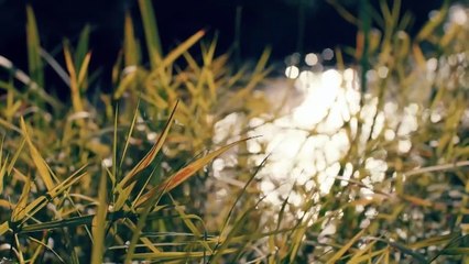 Made in Chelsea - Season 30 Episode 7