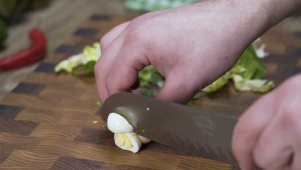 39 Cheese Chips Salad